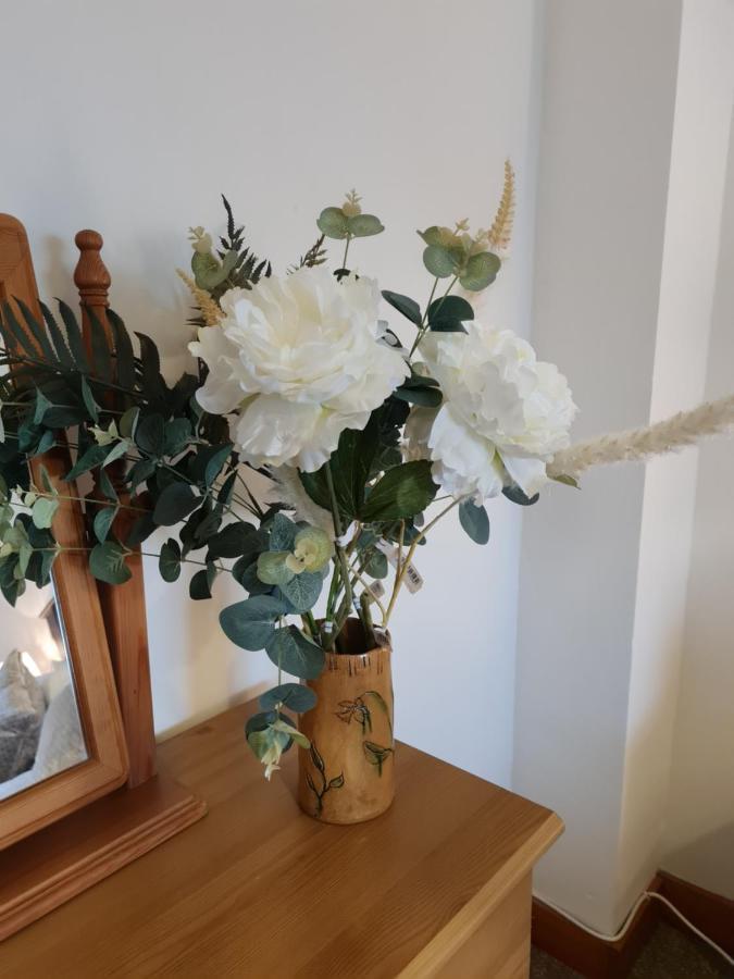 Comfy Quiet Town House Βίλα Strabane Εξωτερικό φωτογραφία