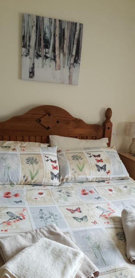 Comfy Quiet Town House Βίλα Strabane Εξωτερικό φωτογραφία
